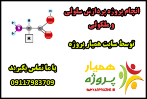 انجام پروژه های پردازش سلولی و ملکولی