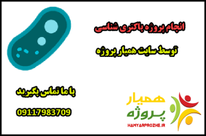 انجام پروژه های باکتری شناسی