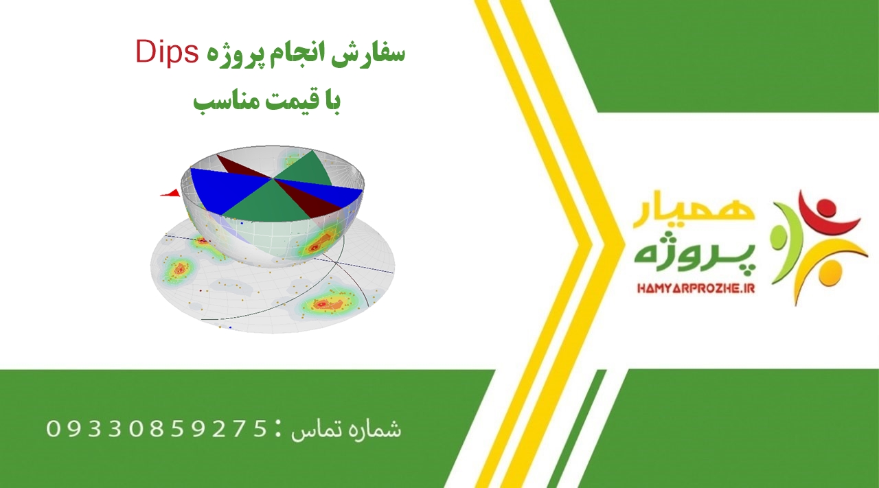 انجام پروژه Dips (دیپس)