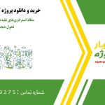 مقاله استراتژی‌های غلبه بر مقاومت در برابر تحول دیجیتال