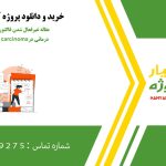 مقاله غیرفعال شدن فاکتور رونویسی در مقیاس درمانی در hepatocellular carcinoma