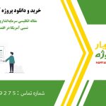 مقاله انگلیسی سرمایه‌گذاری خارجی و مزیت نسبی آمریکا در اقتصاد دیجیتال